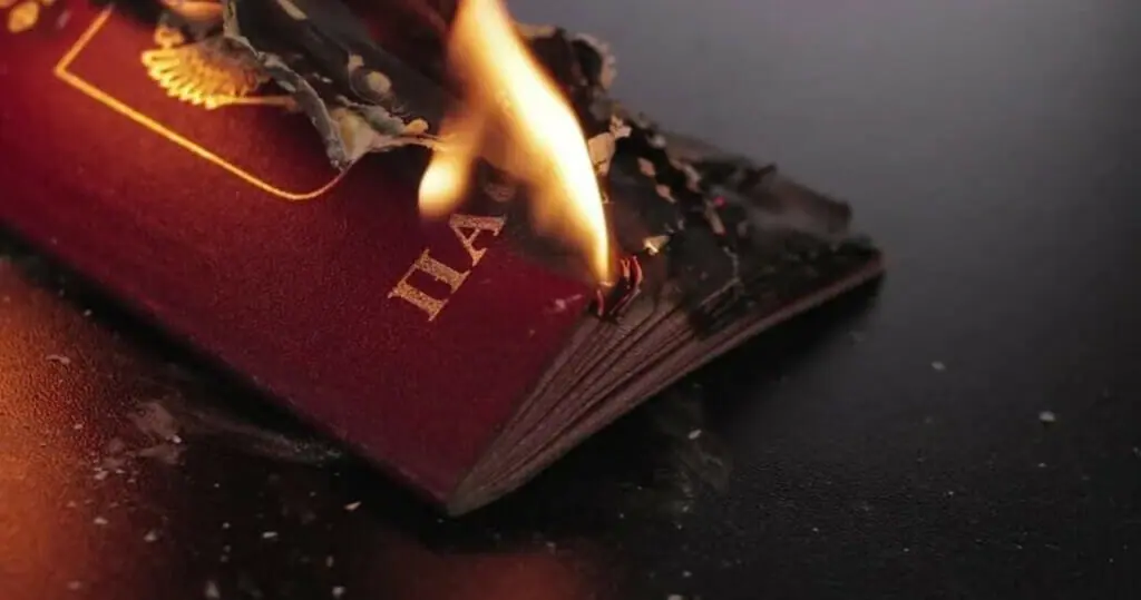 Russian NFT Artist burn passports