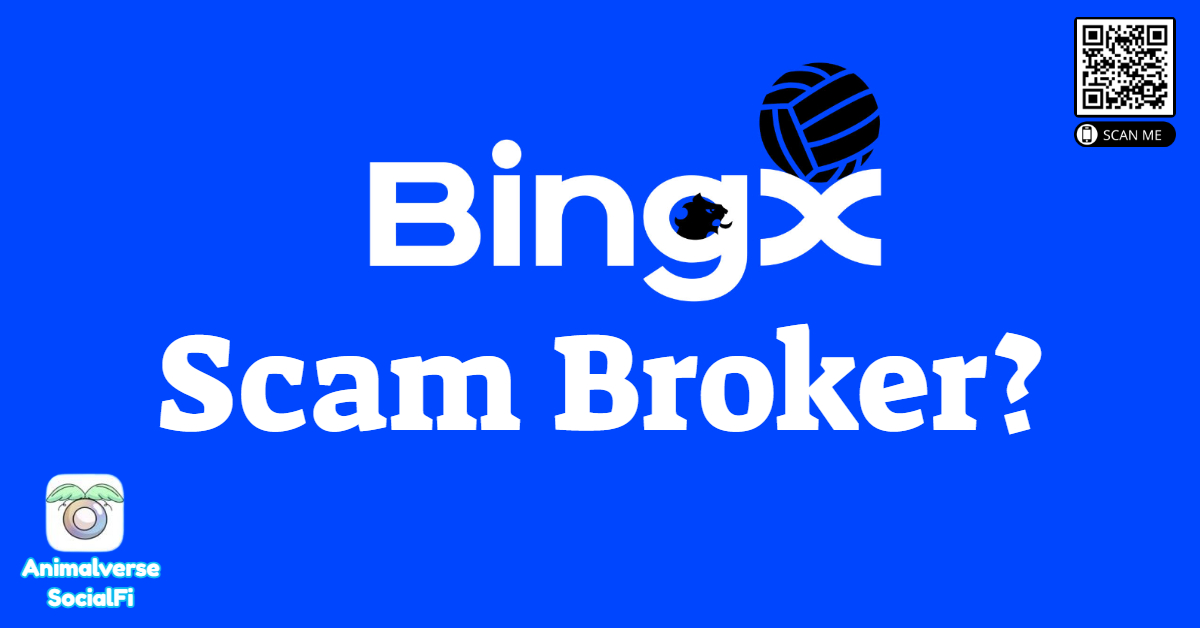 BingX Scam broker
