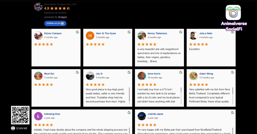 Nice Betta Thailand Reviews from Google