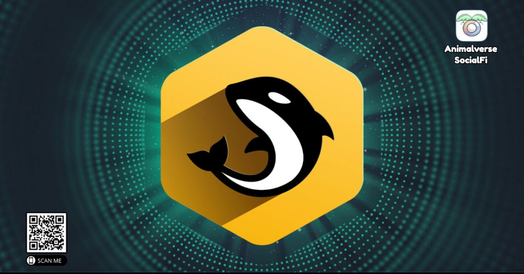 Orca Decentralized Exchange (DEX)