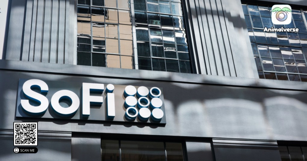 SoFiUSD Beyond Institutional Use