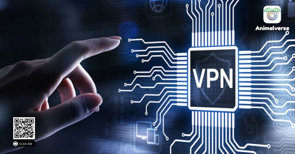 Conclusion: VPN as a Web3 Essential Tool