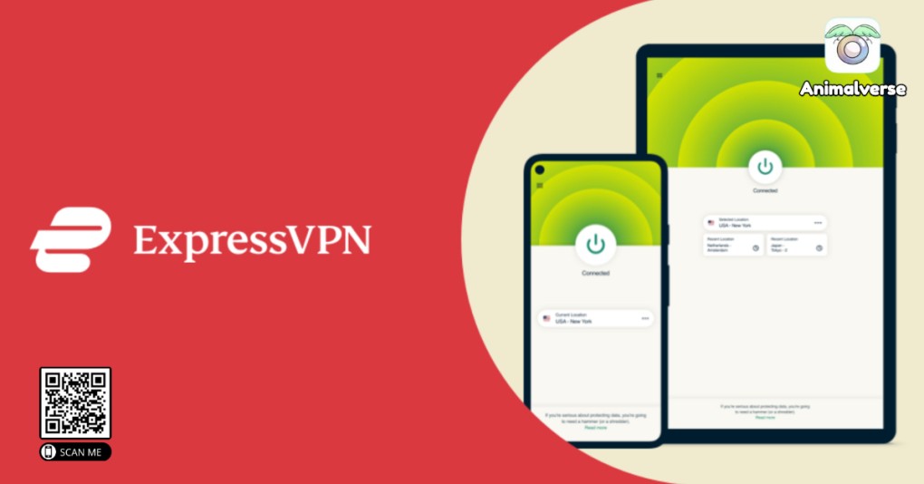 ExpressVPN — Best for Ease of Use & Streaming