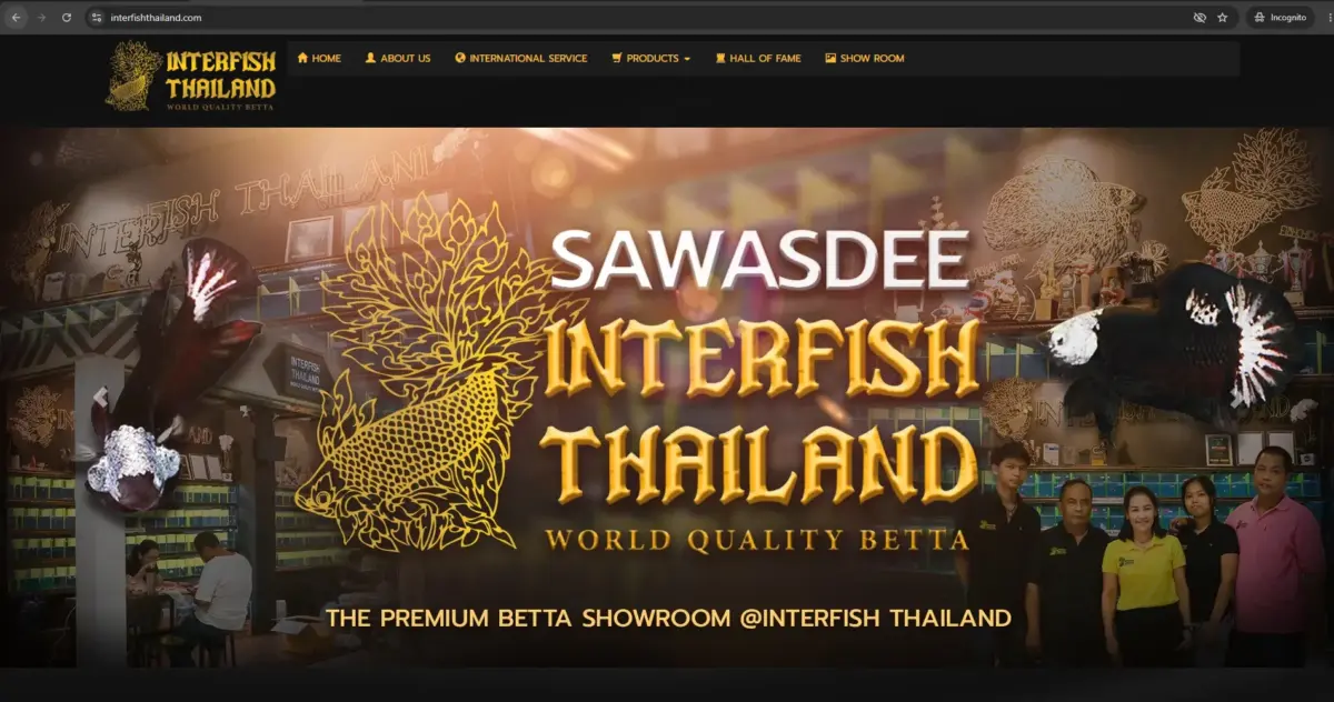 InterFish Thailand – A Recognized Name in Thailand's Betta Community