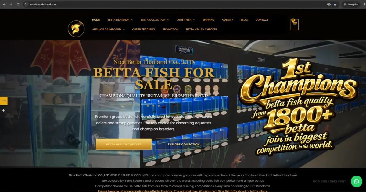 Nice Betta Thailand – Premium and Competition-Grade Thailand Betta Fish