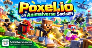 Poxel.io