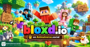 Bloxd.io