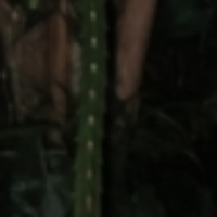 Profile picture of anggapanjul