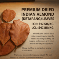 Profile picture of Hamdan Adha