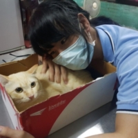 Profile picture of firstime