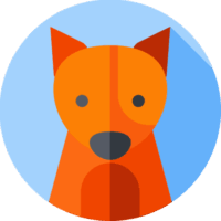 Profile picture of 0xBAC70578b6FC834567333eF5812F4a39Ef131956