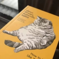 Profile picture of Asothon