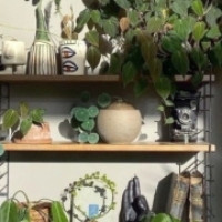 Profile picture of Preyah