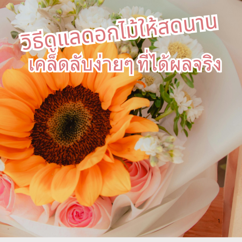 วิธีดูแลดอกไม้ให้สดนาน - เคล็ดลับง่ายๆ ที่ได้ผลจริง