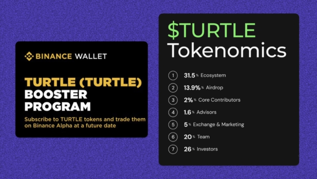 turtle-recently-announced-their-token-turtle