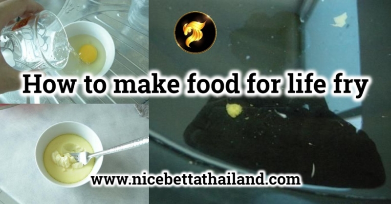 How to make food for betta fry ip to make food for betta fry 3-15 days if not use liquifry or artemia And this is the method Nice Betta Thailand Farm use to raise betta fish to this day. When we are unable to provide fresh food to the baby betta fish How to make food for betta fry eggs for fish to eat with pictures The food that is given to betta fish fry is steamed eggs. Let’s see step by step with photos. Step 1 Prepare egg and a cup. Step 2 Crack eggs into a cup and poured water in as well As for how much water to pour? This depends on how soft the eggs you want. Normally, Nice Betta Farm uses the guess method of taking Try and see for yourself. be careful!! Add too little water and the eggs will be hard and the fish won’t eat them because…it’s hard to eat. If you add too much water, the eggs won’t harden. If you give it to the fish to eat, it’s a mess…water rots easily. Step 3 Stir the eggs together. Step 4 Put the scrambled eggs into the pot. No need to add fish sauce. or soy sauce into the eggs Because we make it for fighting fish only. You can choose to add a little sea. But it shouldn’t be iodized salt. Step 5 Bring water to a boil and wait until the eggs are cooked. Step 6 Once the eggs are cooked, they will be about as soft as this like the picture. Step 7 Wash and clean through a sieve to make it smaller. Should be cleaned through a sieve to make it small several times. until there is no egg oil left. After that, give it to the baby fish immediately. remember sprinkled just a bit really!! as if most, and the rest, can contaminate water and cause death interchangeable fry. Food for betta fry Please note that this is how Nice Betta Thailand farm raises their 7 – 45 day old fry, which may include other foods such as: Artimea and Daphnia