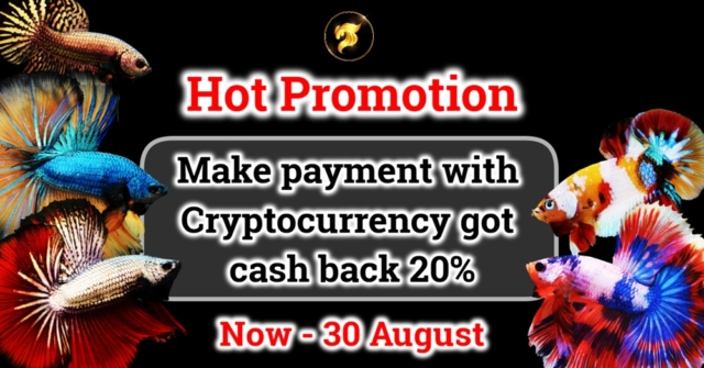 coming-now-special-betta-fish-promotion-every-order-when-you-make-payment-with-cryptocurrency-will-receive-cash-back-immediately-within-1-3-hours