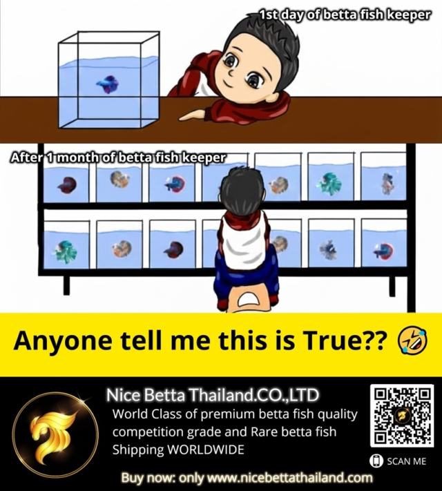 anyone-tell-me-this-is-true