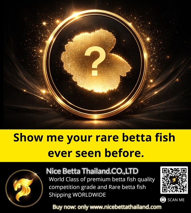 show-me-your-rare-betta-fish-ever-seen-before
