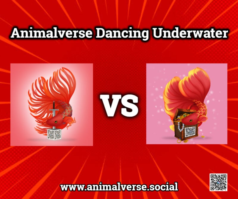 animalverse-dancing-underwater-2-3