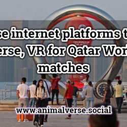 Chinese internet platforms try out metaverse, VR for Qatar World Cup matches