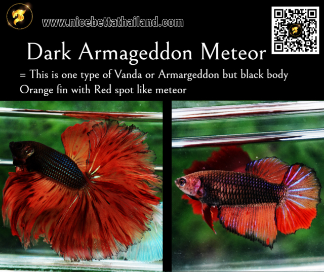 13-dark-armageddon-meteor