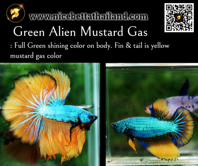 28. Green Alien Mustard Gas
