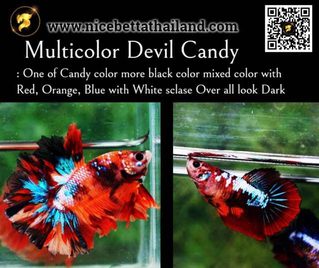 30. Multicolor Devil Candy