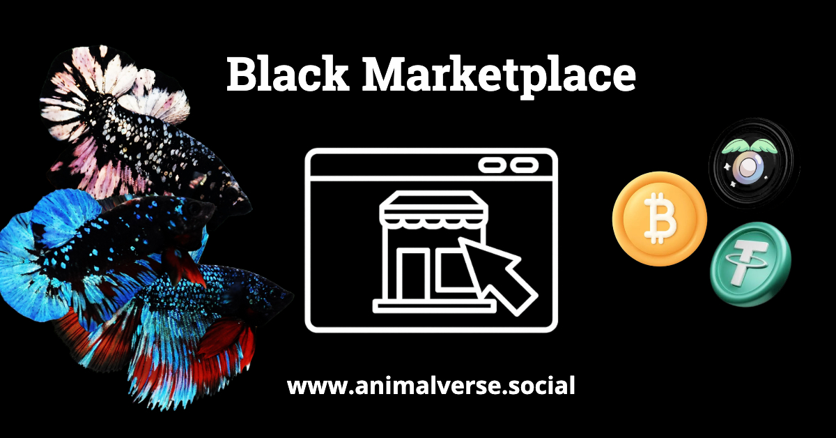 we-appreciate-animalverse-social-for-the-best-place-for-our-work-we-will-share-to-everyone-join-black-marketplace-i-hope-this-will-help-my-friends-to-have-a-place-to-sell-their-betta-fish-create-jobs