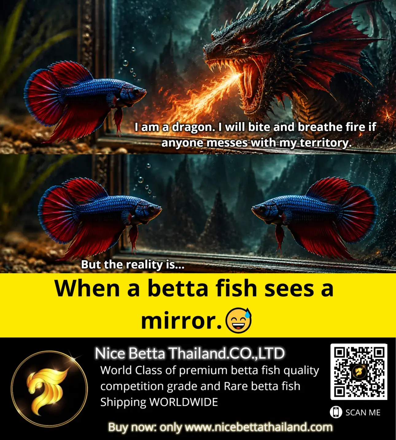 when-betta-fish-see-a-miror-when-accepting-reality-is-so-difficult-youll-remain-stuck-in-your-dreams-forever