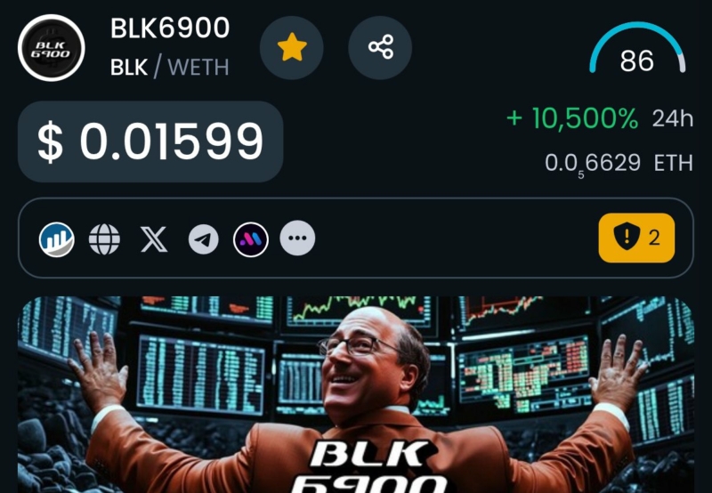 Bought BLK6900 $300k Marker cap 0x420690b6158ba4a4c9d8d6a4355308d7a54c625a