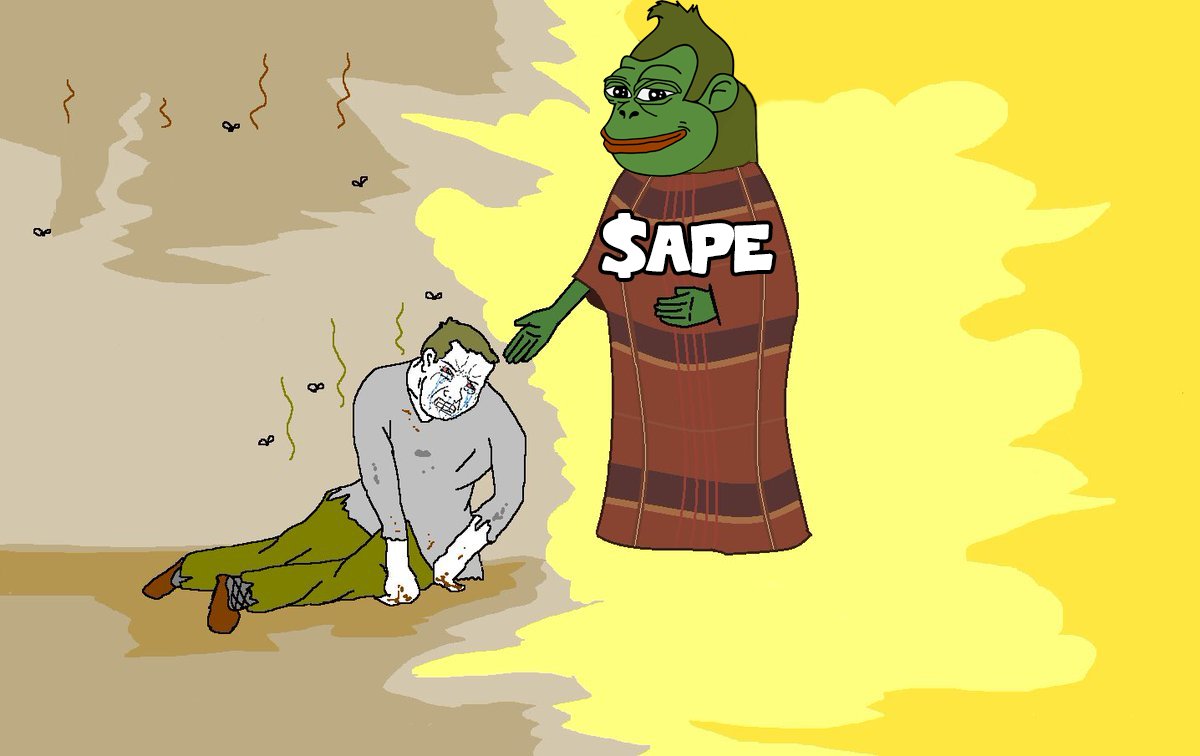 all-i-see-is-pepe-memes-everywhere