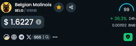 Solana influencers are mad because BNB memecoins like this one are pumping now.