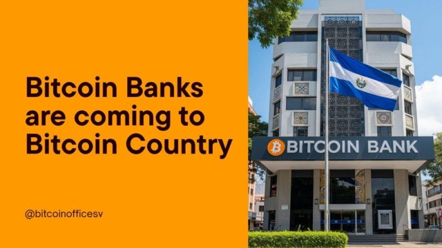 el-salvador-plans-to-launch-the-worlds-first-bitcoin-bank