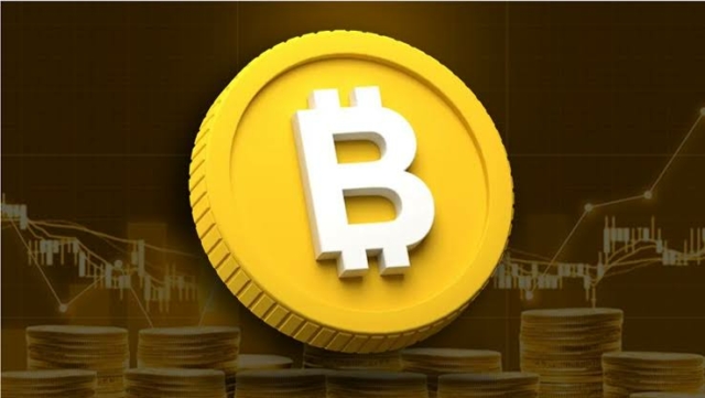 Bitcoin etfs