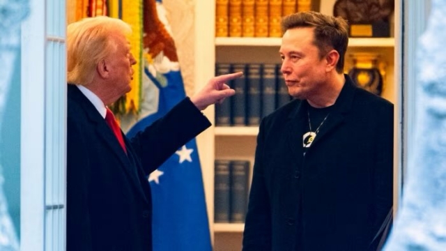 President Trump says "have to take a look" when asked about deporting Elon Musk.