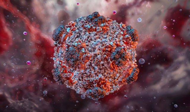 just-in-world-health-organization-warns-ebola-outbreak-is-spreading-very-rapidly