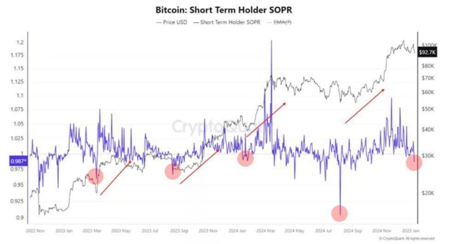 cryptoquant-has-detected-a-buy-the-dip-signal-analysts-note-the-capitulation-of-speculators-near-92000-with-panic-selling-often-signaling-a-local-bottom-as-large-investors-whal