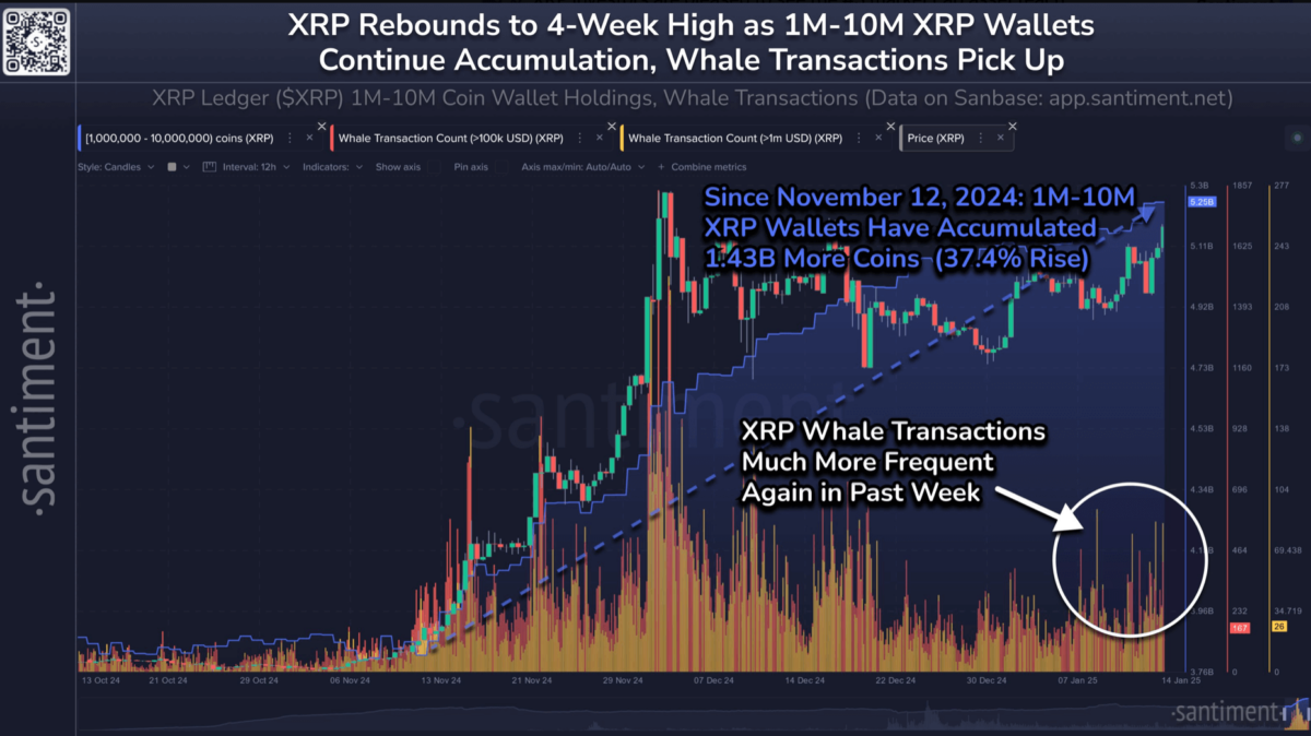 xrps-price-surged-12-in-a-day-driven-by-aggressive-whale-accumulation-and-speculation-about-a-possible-etf-listing-in-the-us-according-to-crypto-analysts