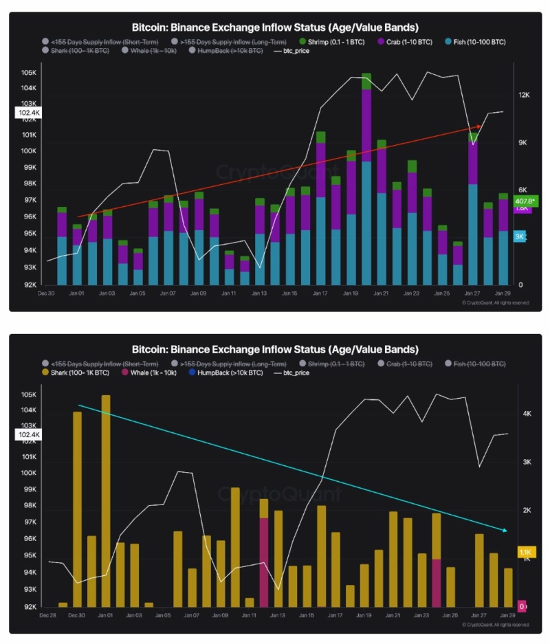 Bitcoin retail investors sent $625M to Binance in January while whales hold off on major selling as the market heats up.