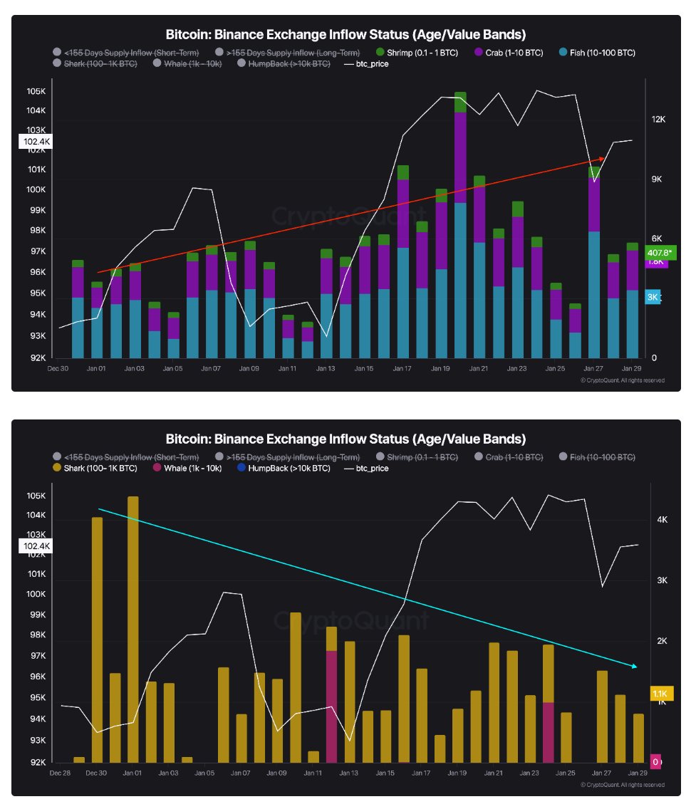 bitcoin-retail-investors-sent-625m-to-binance-in-january-while-whales-hold-off-on-major-selling-as-the-market-heats-up