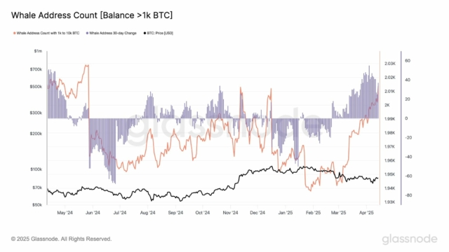 latest-bitcoin-whale-addresses-holding-1k-10k-btc-have-increased-from-1944-to-2014-since-march-5-showing-accumulation-patterns-similar-to-april-2024-according-to-glassnode
