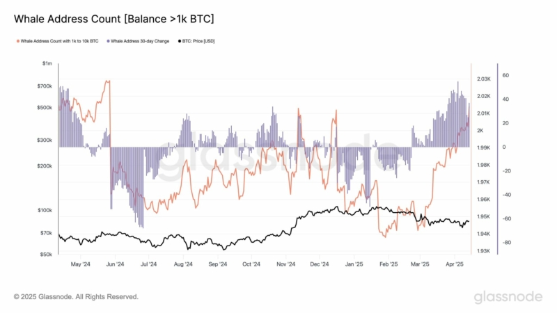 LATEST: Bitcoin whale addresses (holding 1K-10K BTC) have increased from 1,944 to 2,014 since March 5, showing accumulation patterns similar to April 2024 according to Glassnode.