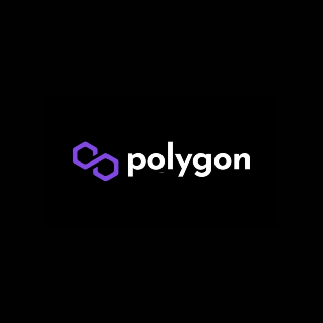 Polygon co-founder Mihailo Bjelic steps down, becoming the third co-founder to leave since 2023.