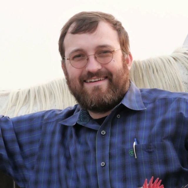 Charles Hoskinson proposes $100M ADA investment to boost Cardano DeFi via stablecoins and BTC.