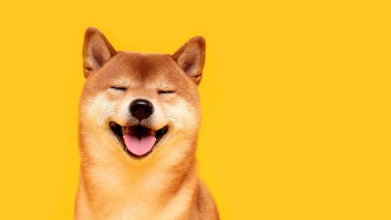 INSIGHT: Dogecoin investors are eyeing whether DOGE can reclaim the key psychological level of $0.25, Ripple CEO Brad Garlinghouse confirmed that the company is applying for a banking license with the US regulators, and other news. Hodler’s Digest via Cointelegraph