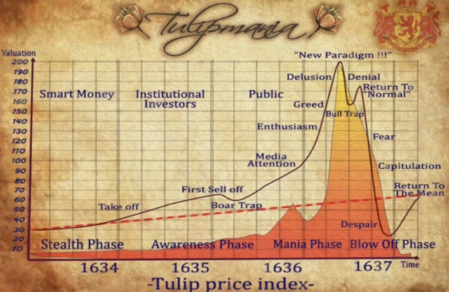 Eric Balchunas pushes back on the “Bitcoin = tulips” comparison. Tulips died in 3 years, while Bitcoin has survived and still sits ~250% higher.