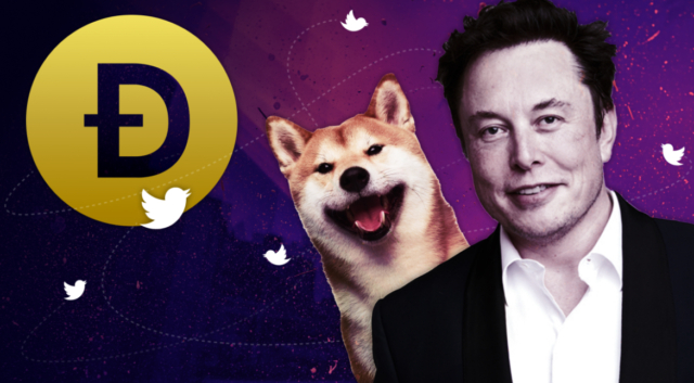 elon-musk-cleared-in-dogecoin-class-action-lawsuit