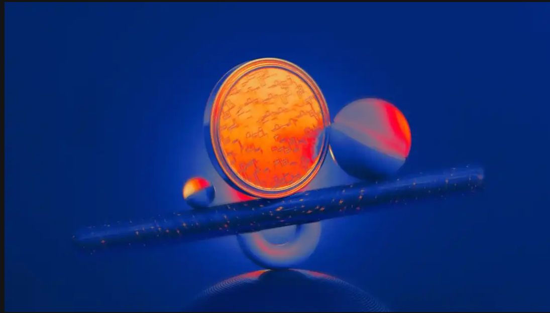 kalshi-and-polymarket-post-strongest-months-yet-with-nearly-10-billion-in-combined-november-volume-centralized-and-onchain-prediction-markets-closed-november-with-their-strongest-month-on-record-as