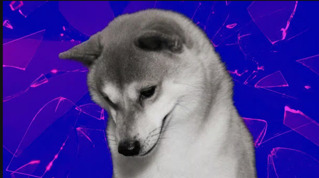 Dogecoin gets another ETF but Wall Street's memecoin appetite remains muted